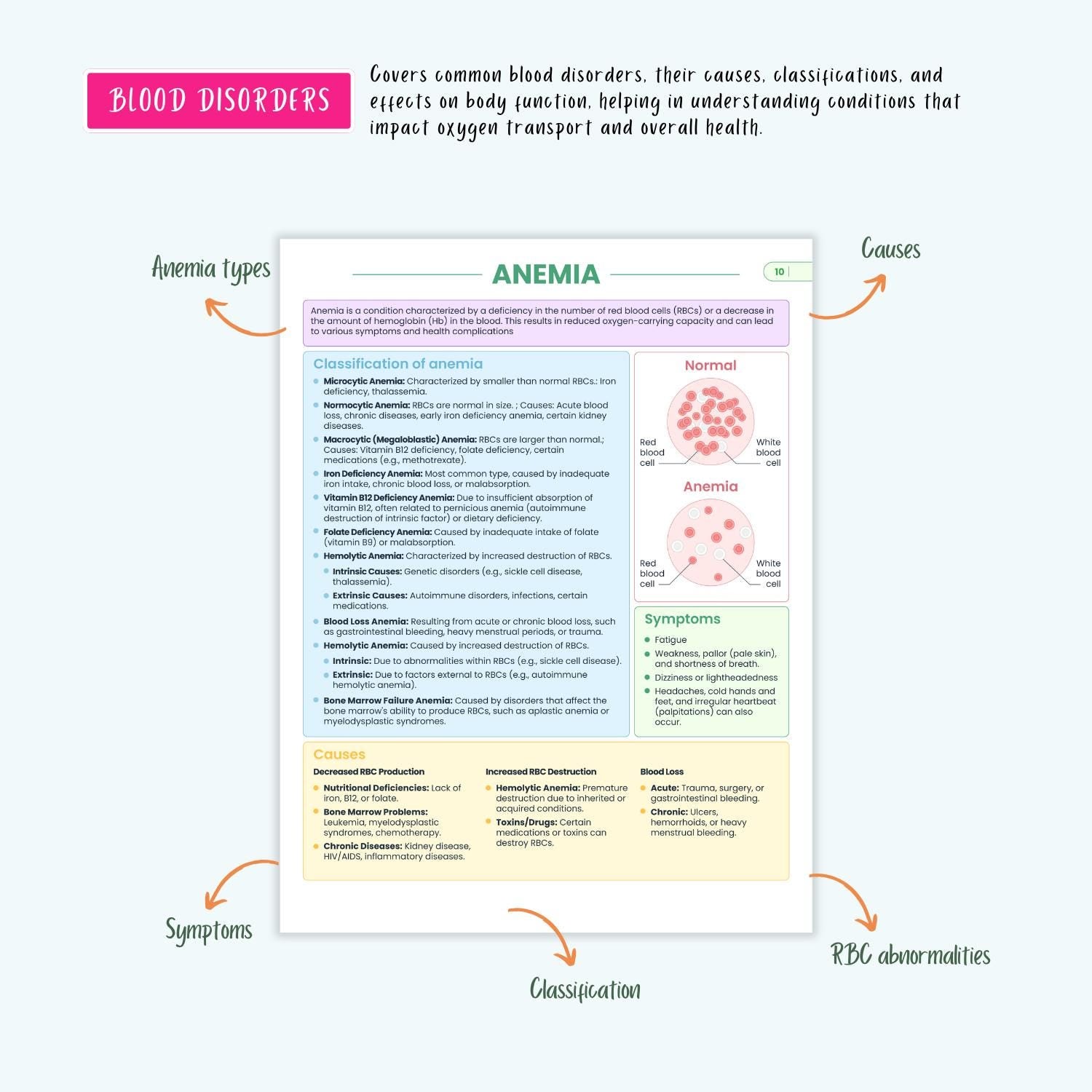 Anatomy and Physiology Complete Bundle | Nursing School | Human Anatomy, Flashcards, Cheat Sheets, Coloring Book