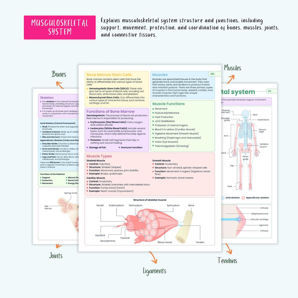 Musculoskeletal Disorders Nursing Notes PDF NCLEX Nursing School Study Guide Osteoporosis Gout Fibromyalgia Fractures