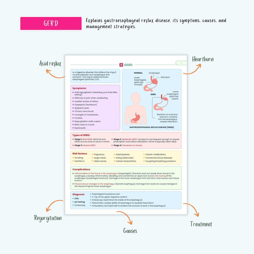 Gastrointestinal Disorders Notes 15+ GI Conditions Liver Pancreatitis GERD Gastritis IBD Nclex Guide