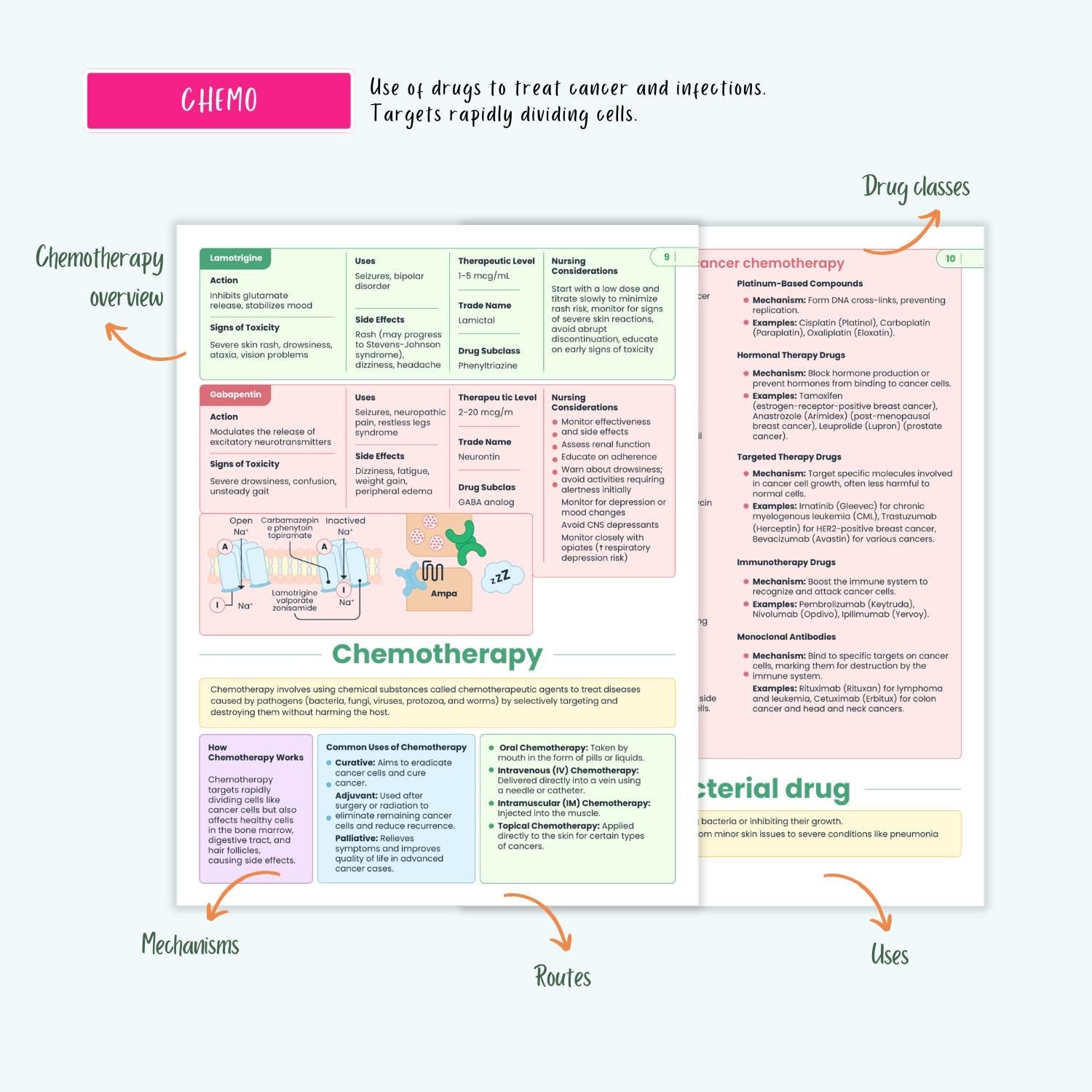NCLEX Pharmacology Bundle | 80+ Drugs, Cardiac, Respiratory, Antibiotics, Antivirals, ICU, Mnemonics | Nursing School Notes