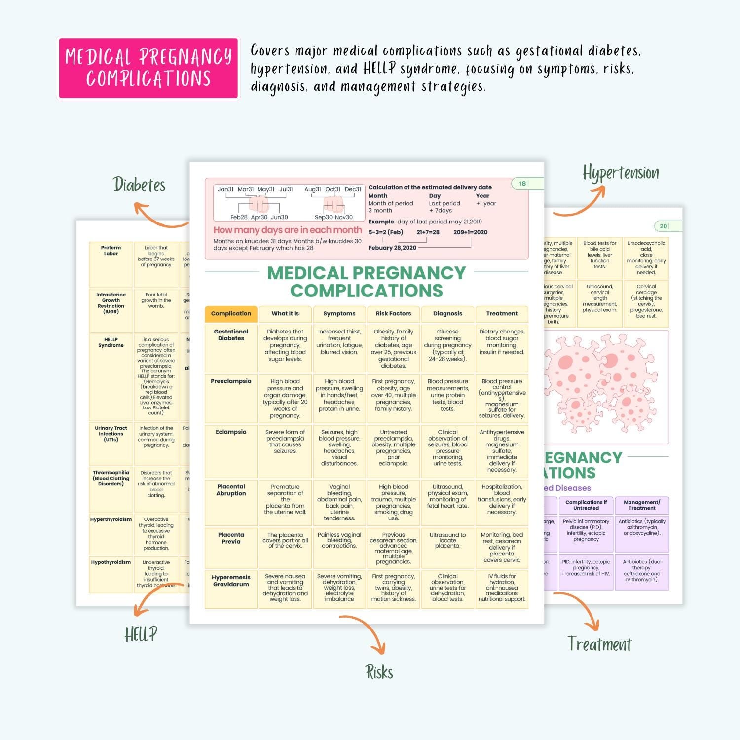 Pregnancy Disorders Complete Bundle | Nursing School | OB Maternity Notes, Flashcards, Cheat Sheets