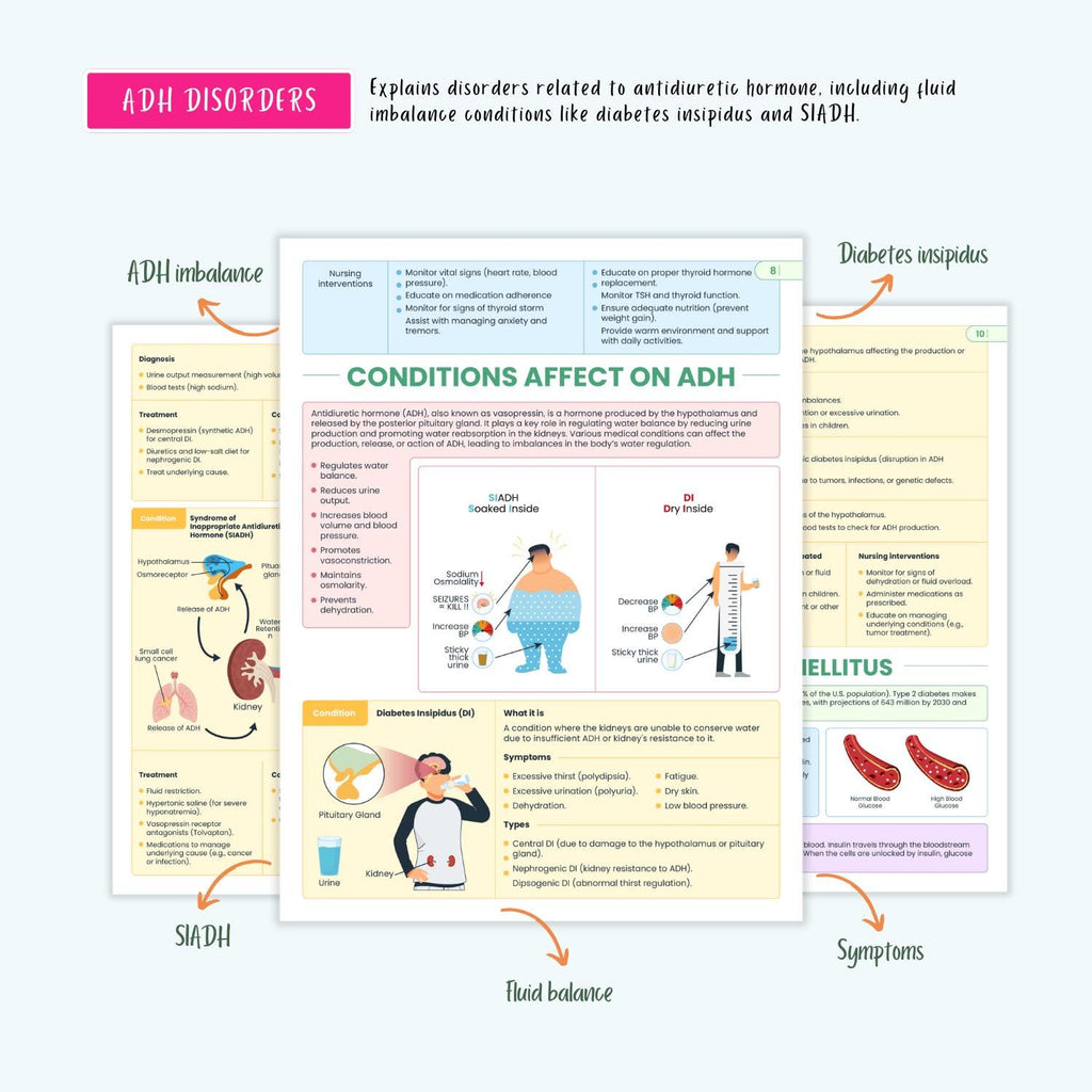 Endocrine Disorders Notes 10+ Hormonal Conditions Diabetes Thyroid Addison’s Cushing’s SIADH NCLEX Guide