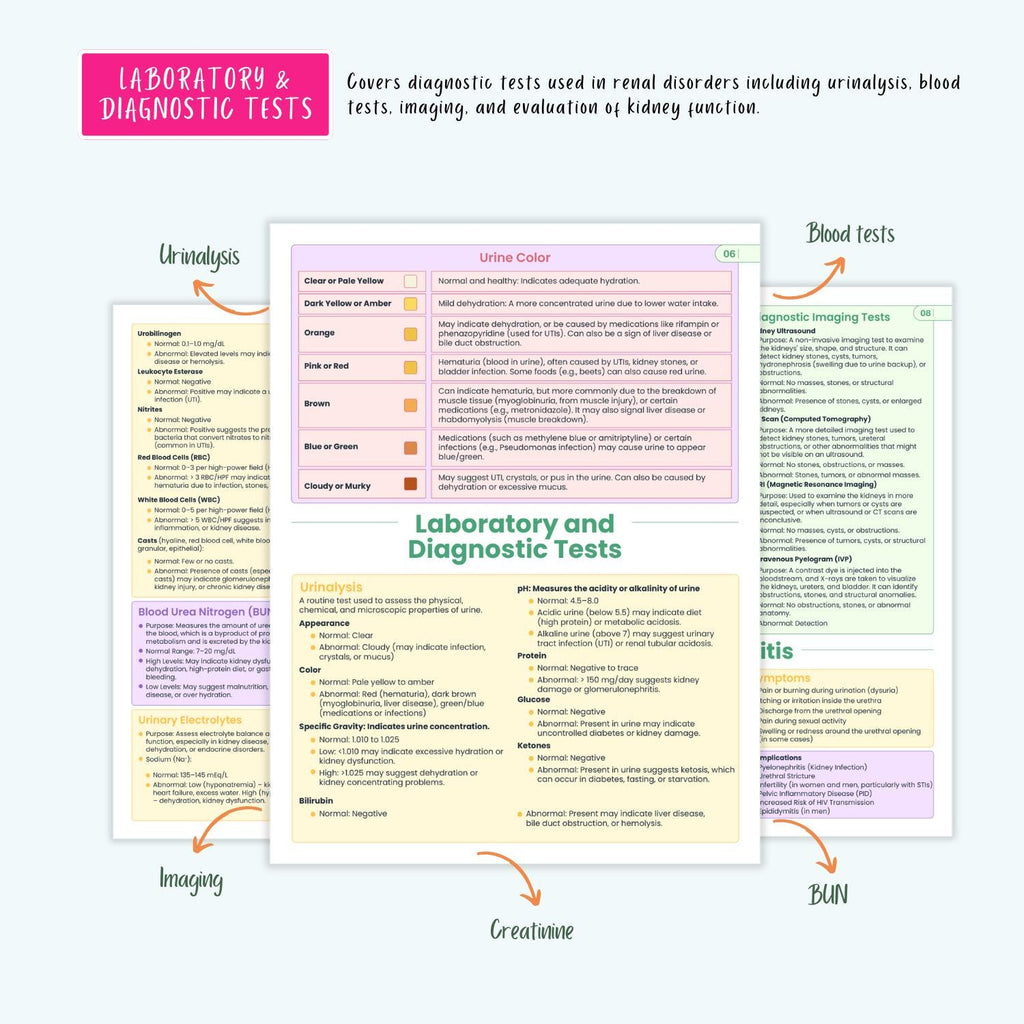 Renal Urinary Notes 15+ Disorders Acute Kidney Injury Chronic Kidney Disease Dialysis Nursing Guide