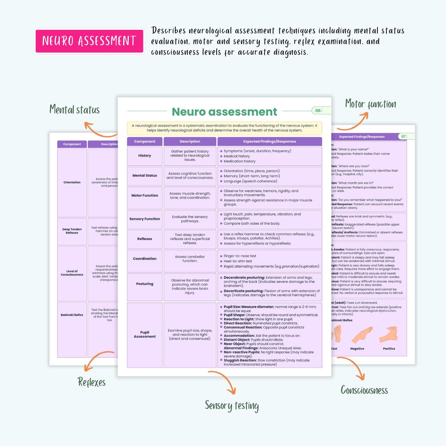 Neurological Disorders Notes | 20+ Brain Conditions | Stroke Seizures ICP Parkinsons Neuro Nursing