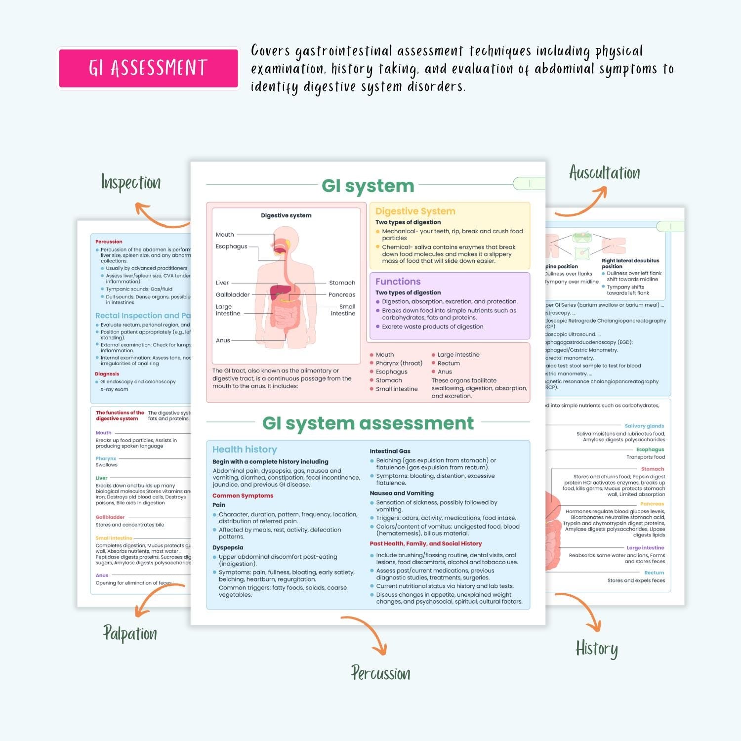 Gastrointestinal Disorders Notes 15+ GI Conditions Liver Pancreatitis GERD Gastritis IBD Nclex Guide