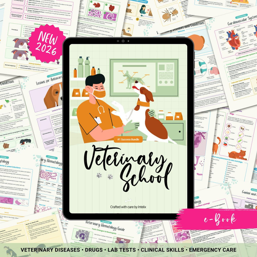 Ultimate VTNE Success Bundle, NAVLE Prep, Pharmacology, Labs, ECG, Emergency Care