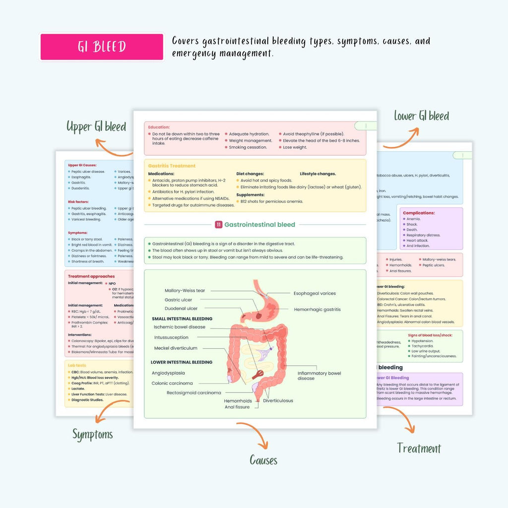 Gastrointestinal Disorders Notes 15+ GI Conditions Liver Pancreatitis GERD Gastritis IBD Nclex Guide