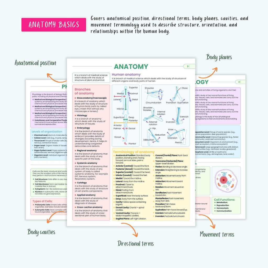 300+ Anatomy Vol 1 & 2 | ICU Critical Care Notes | ECG Cheat Sheets | Coloring Book