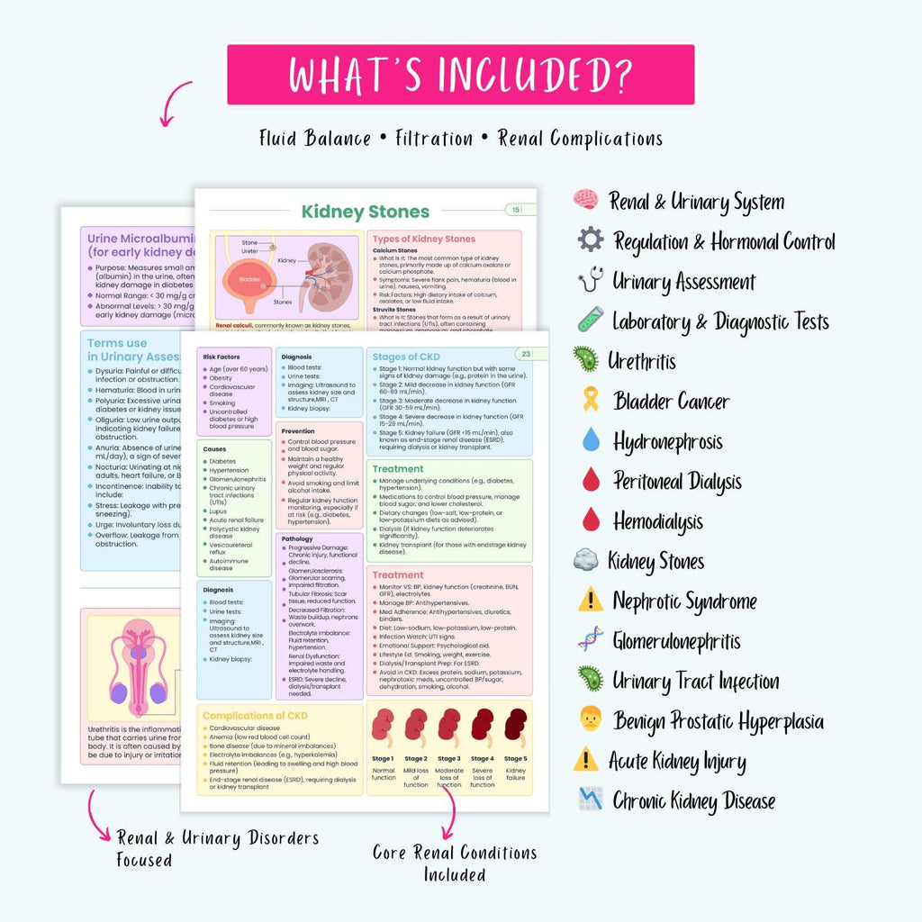 Renal Urinary Notes 15+ Disorders Acute Kidney Injury Chronic Kidney Disease Dialysis Nursing Guide