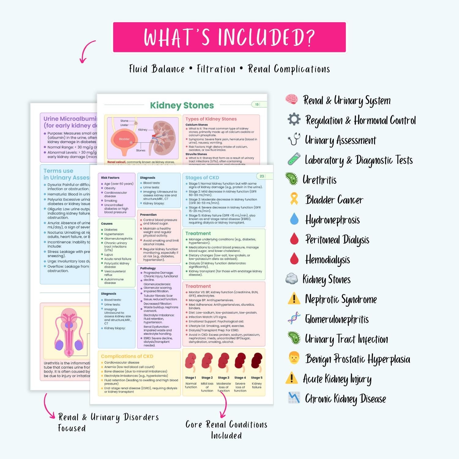 Renal Urinary Notes 15+ Disorders Acute Kidney Injury Chronic Kidney Disease Dialysis Nursing Guide