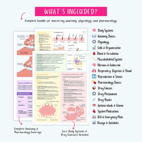 Anatomy physiology and pharmacology nursing study bundle preview image 2