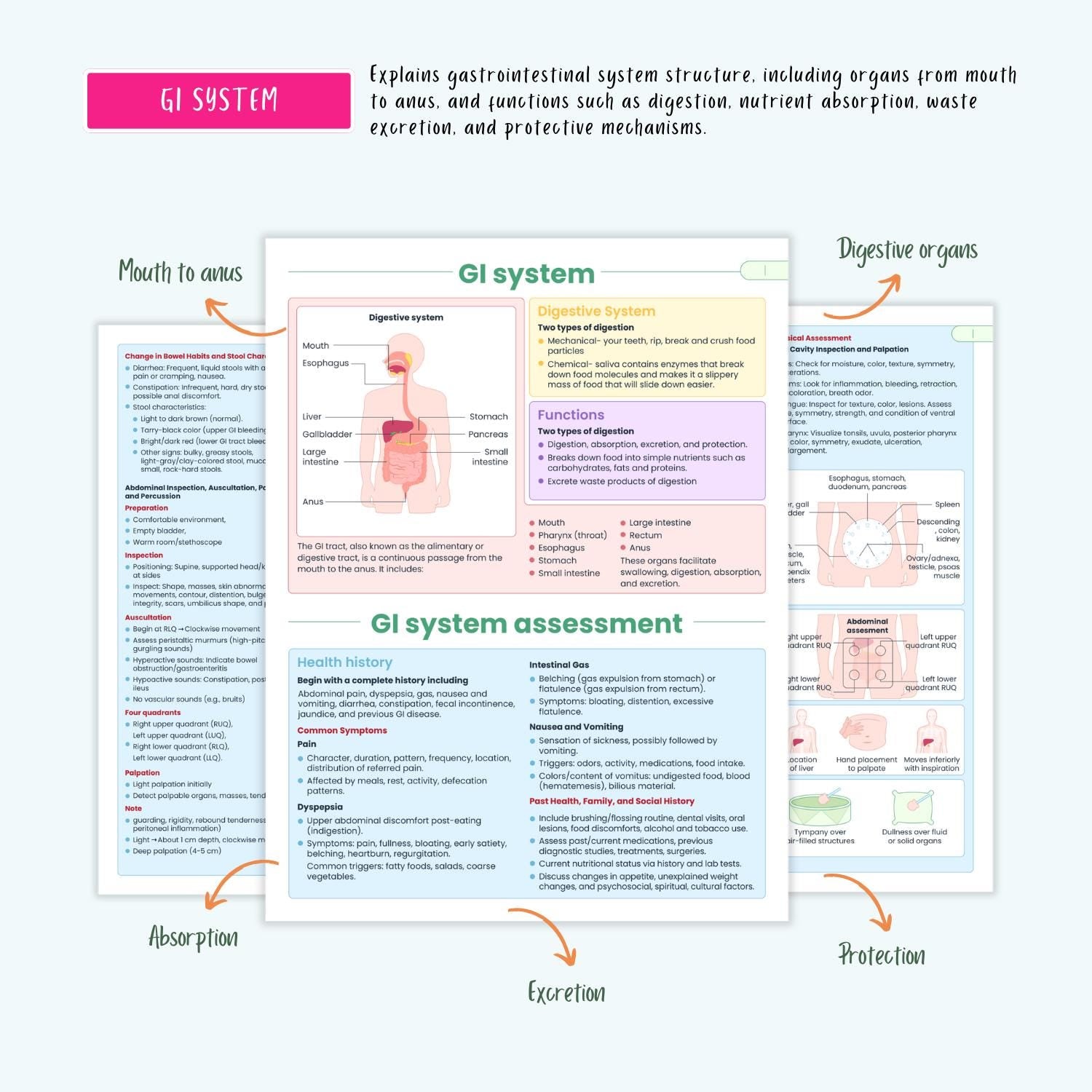 Gastrointestinal Disorders Notes 15+ GI Conditions Liver Pancreatitis GERD Gastritis IBD Nclex Guide