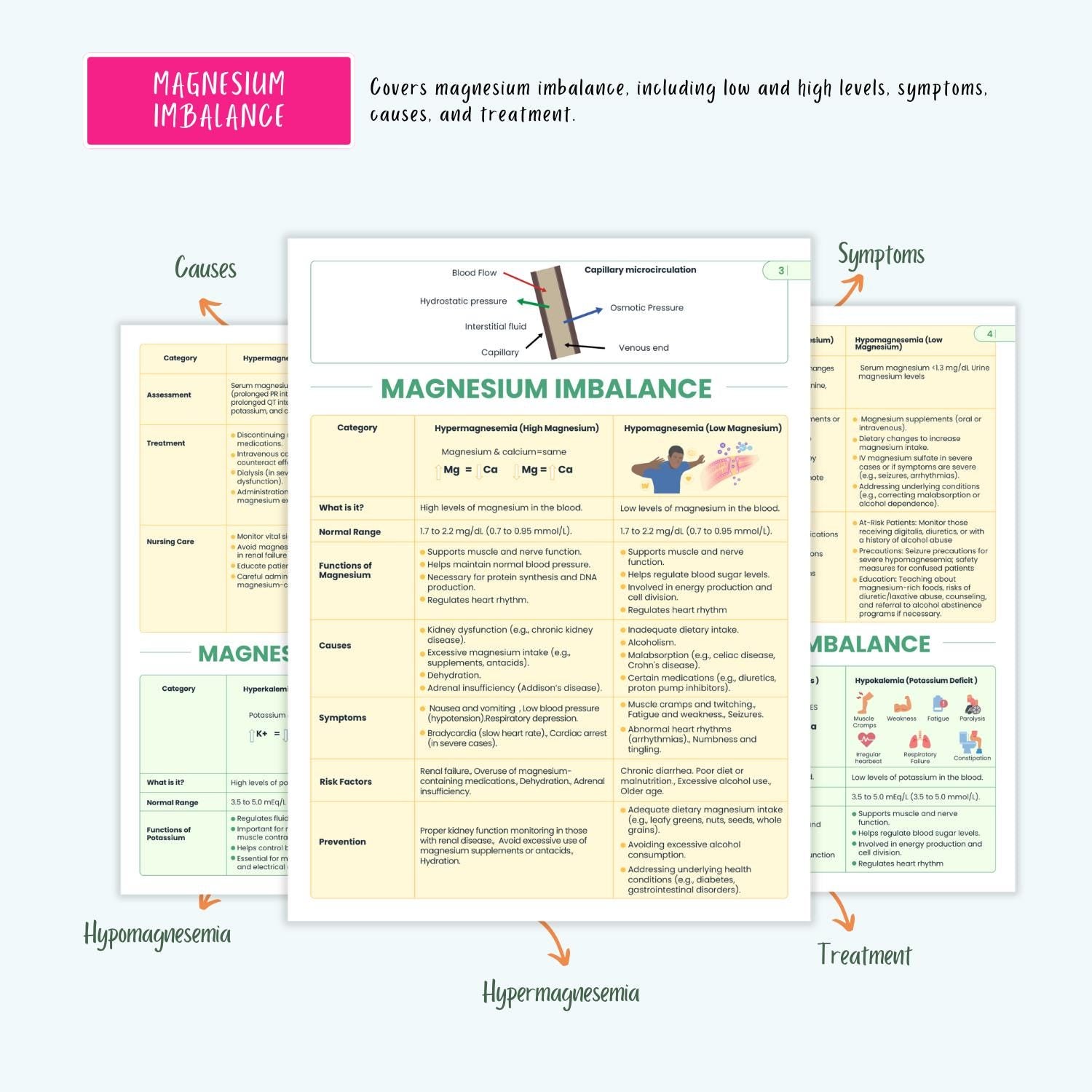 Electrolyte Fluid Disorders Notes Sodium Potassium Calcium Magnesium Imbalance NCLEX Study Guide