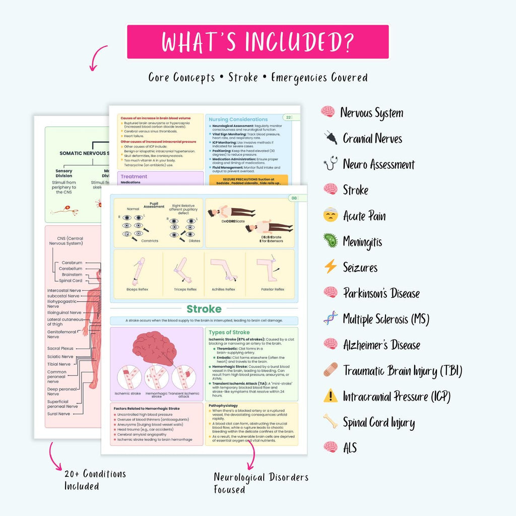 Neurological Disorders Notes | 20+ Brain Conditions | Stroke Seizures ICP Parkinsons Neuro Nursing