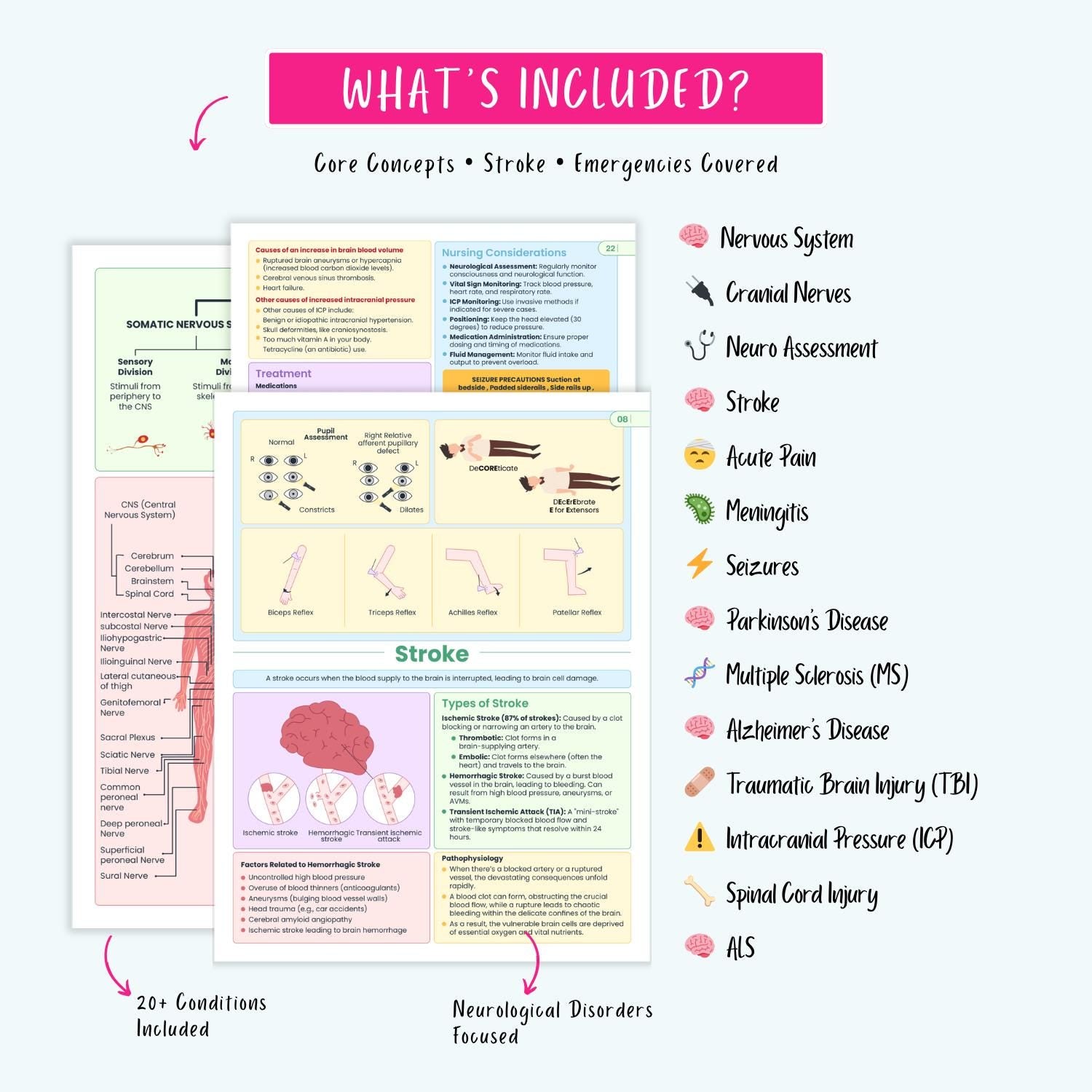 Neurological Disorders Notes | 20+ Brain Conditions | Stroke Seizures ICP Parkinsons Neuro Nursing