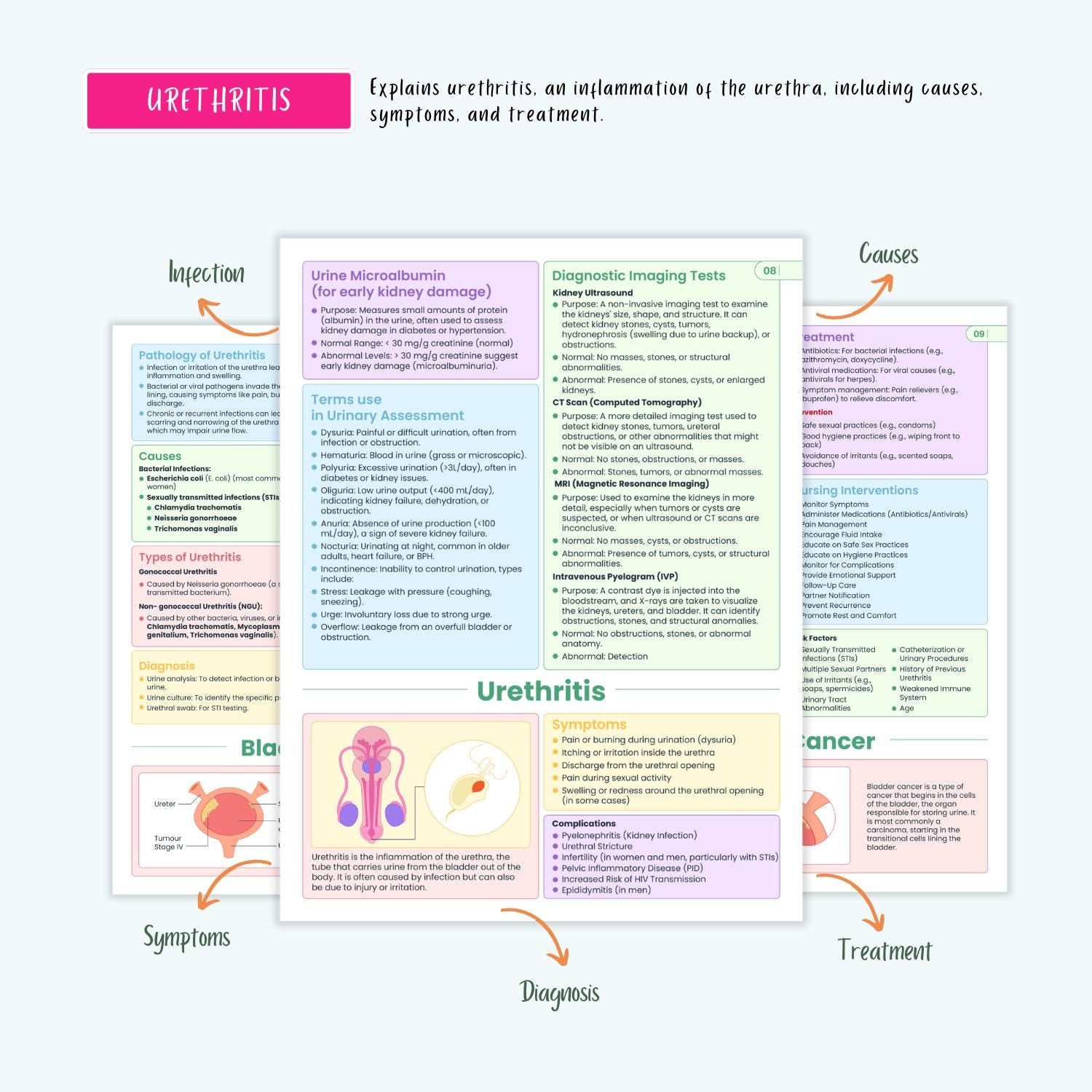 Renal Urinary Notes 15+ Disorders Acute Kidney Injury Chronic Kidney Disease Dialysis Nursing Guide