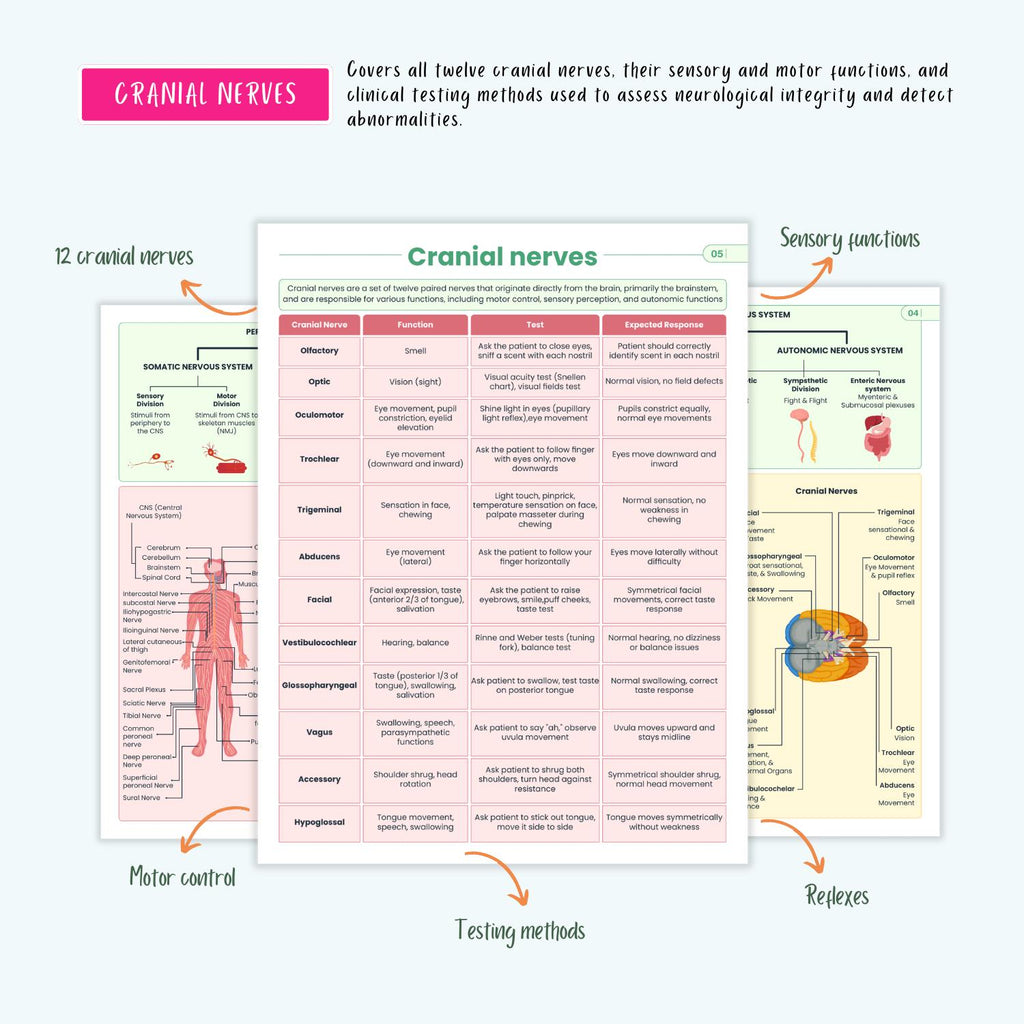 Neurological Disorders Notes | 20+ Brain Conditions | Stroke Seizures ICP Parkinsons Neuro Nursing