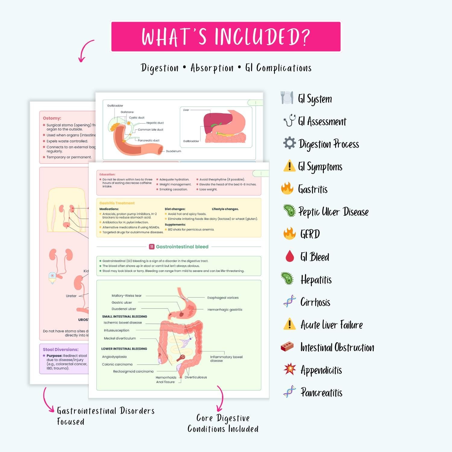 Gastrointestinal Disorders Notes 15+ GI Conditions Liver Pancreatitis GERD Gastritis IBD Nclex Guide