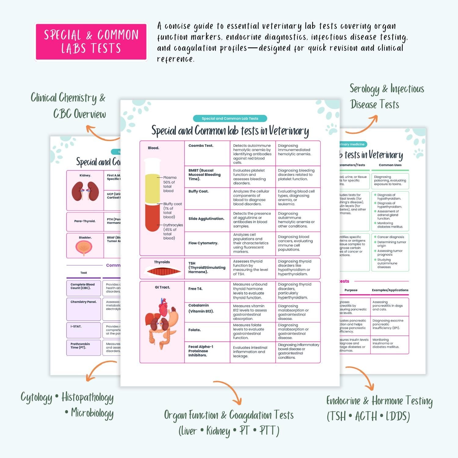 Ultimate VTNE Success Bundle, NAVLE Prep, Pharmacology, Labs, ECG, Emergency Care