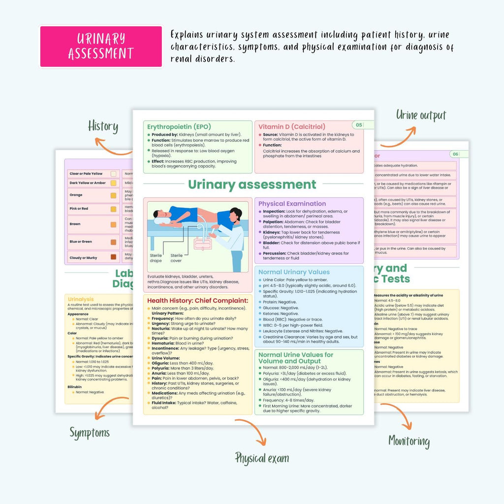 Renal Urinary Notes 15+ Disorders Acute Kidney Injury Chronic Kidney Disease Dialysis Nursing Guide