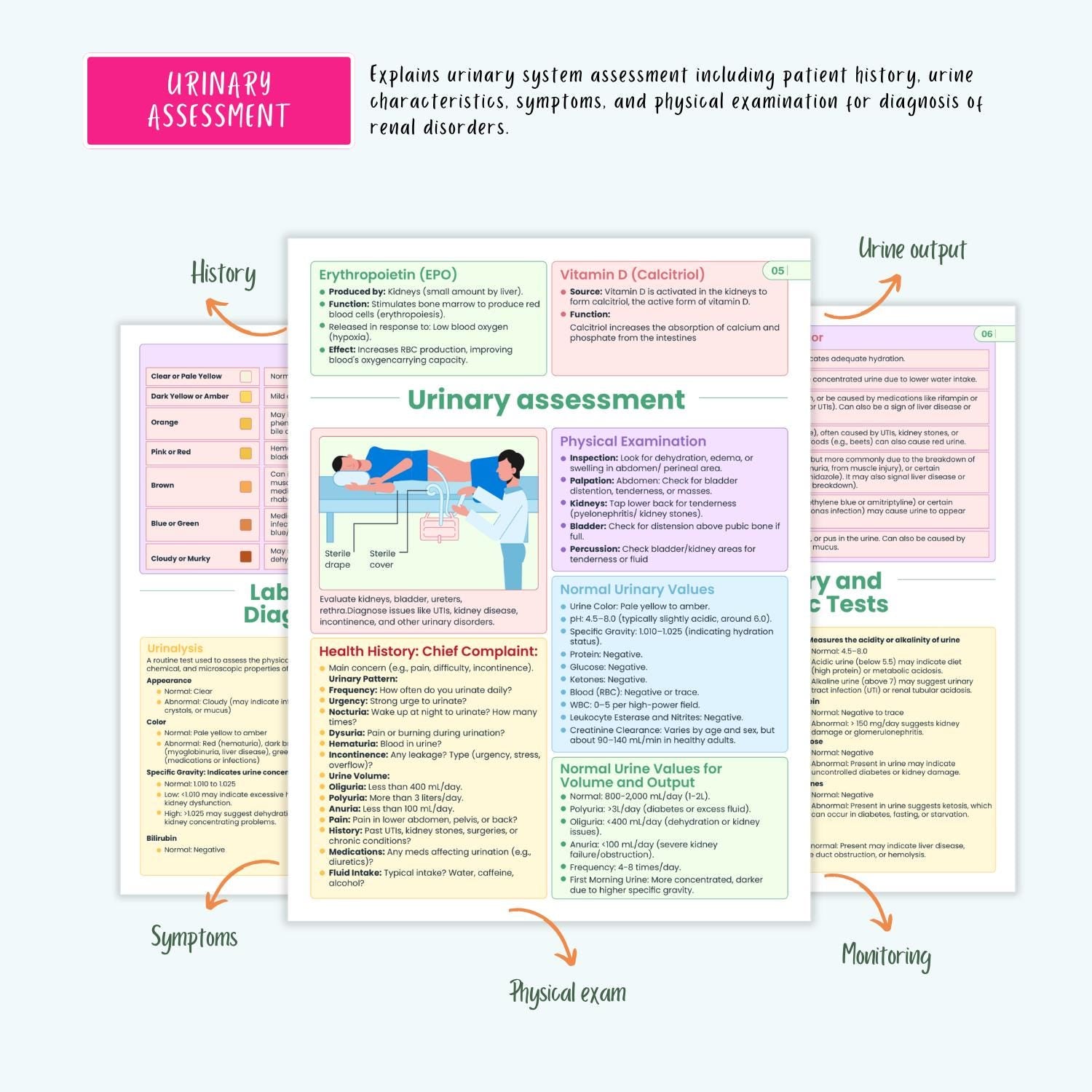 Renal Urinary Notes 15+ Disorders Acute Kidney Injury Chronic Kidney Disease Dialysis Nursing Guide