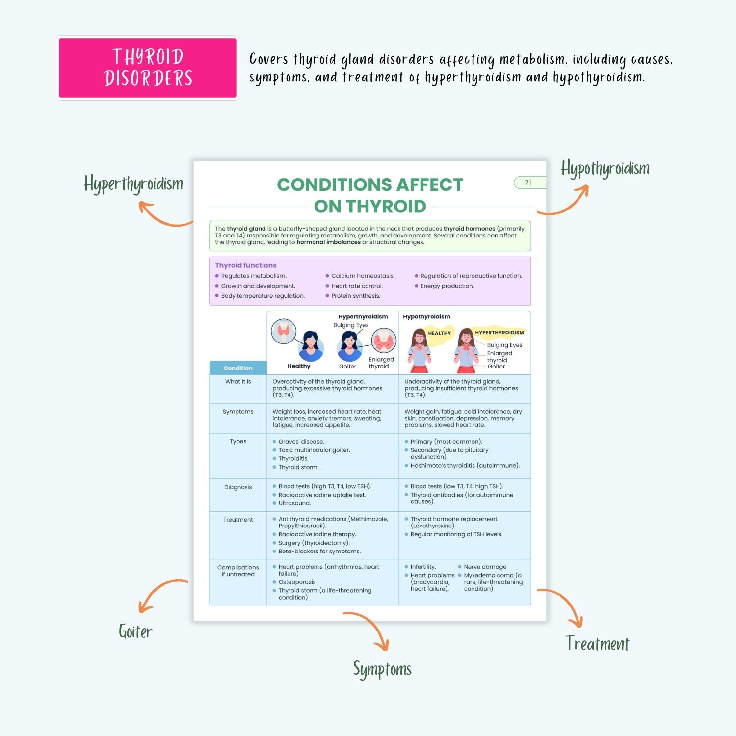 Endocrine Disorders Notes 10+ Hormonal Conditions Diabetes Thyroid Addison’s Cushing’s SIADH NCLEX Guide