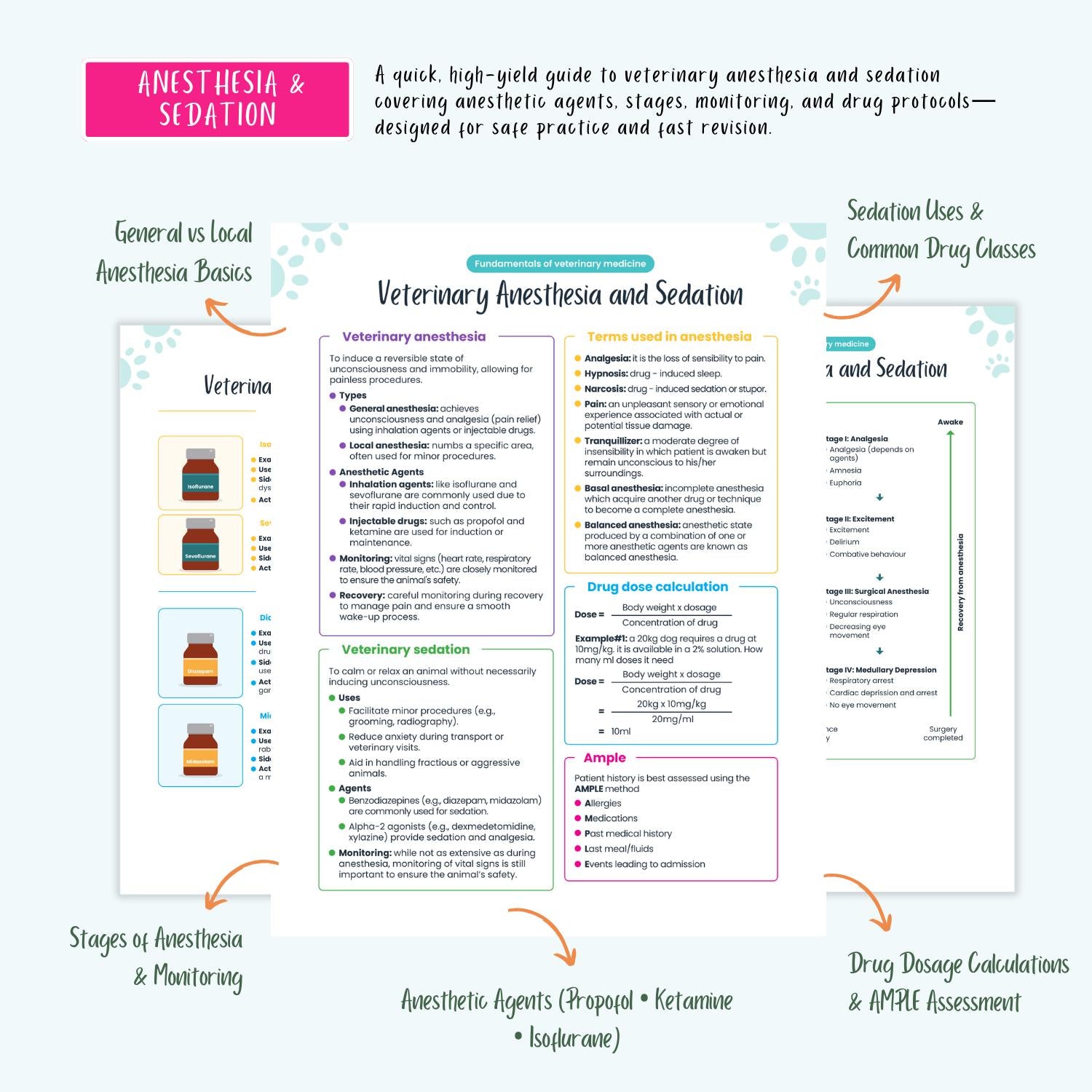 Veterinary Study Guide: Vet Student Notes, VTNE NAVLE Prep, Pharmacology, Labs, ECG, Emergency Care