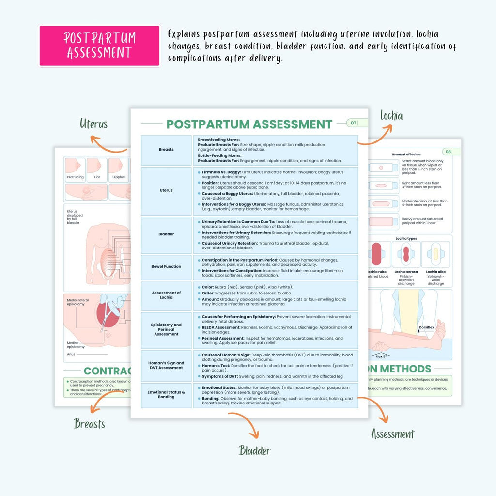 Pregnancy Disorders Complete Bundle | Nursing School | OB Maternity Notes, Flashcards, Cheat Sheets