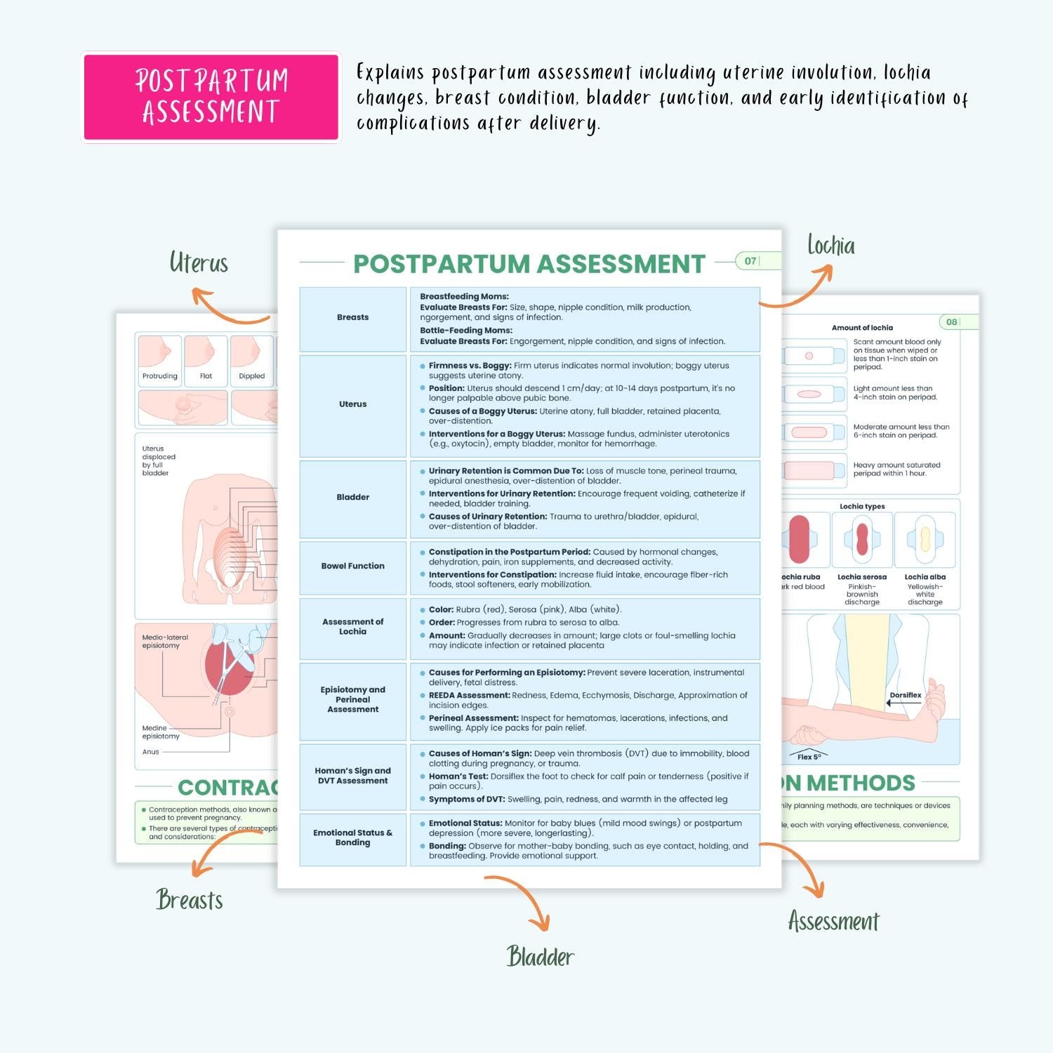 Pregnancy Disorders Complete Bundle | Nursing School | OB Maternity Notes, Flashcards, Cheat Sheets