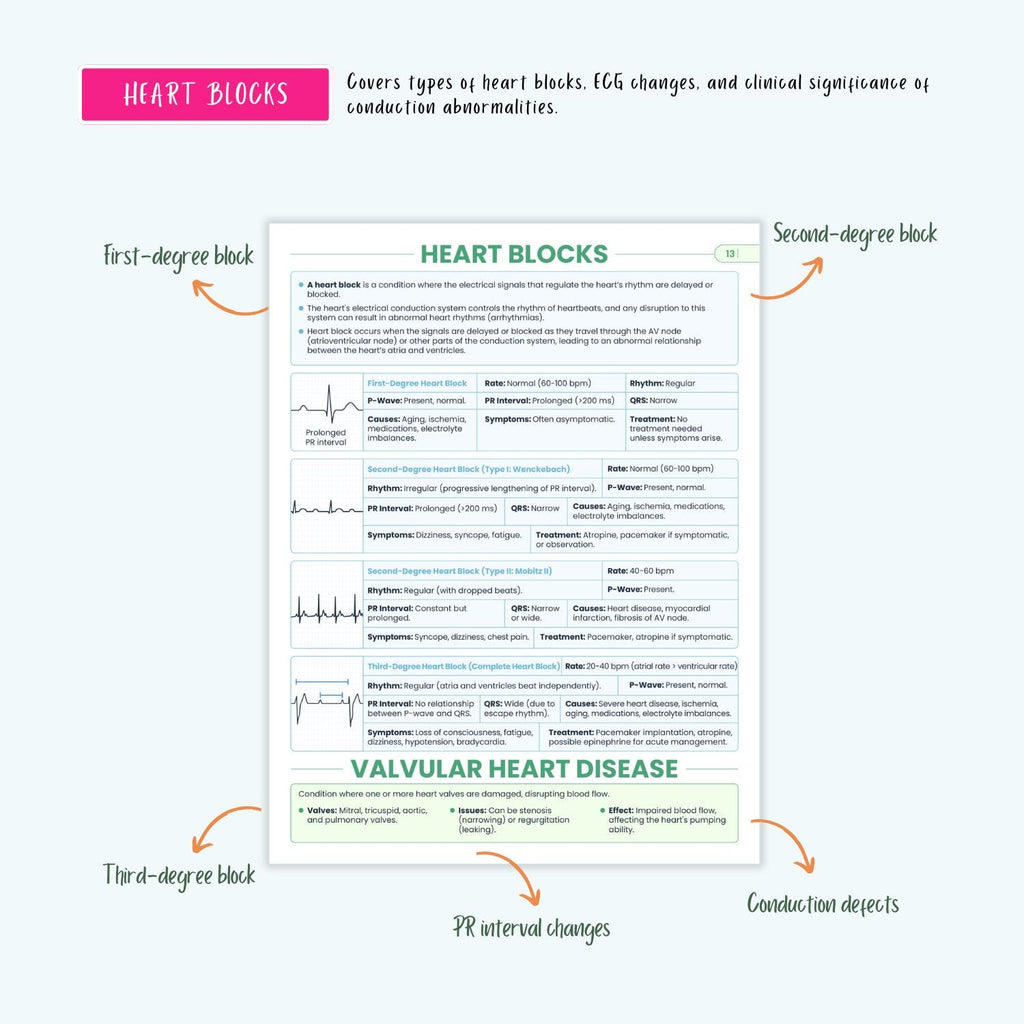 Cardiovascular Disorders Notes | 20+ Cardiac Conditions | ECG Heart Failure MI Angina Nursing