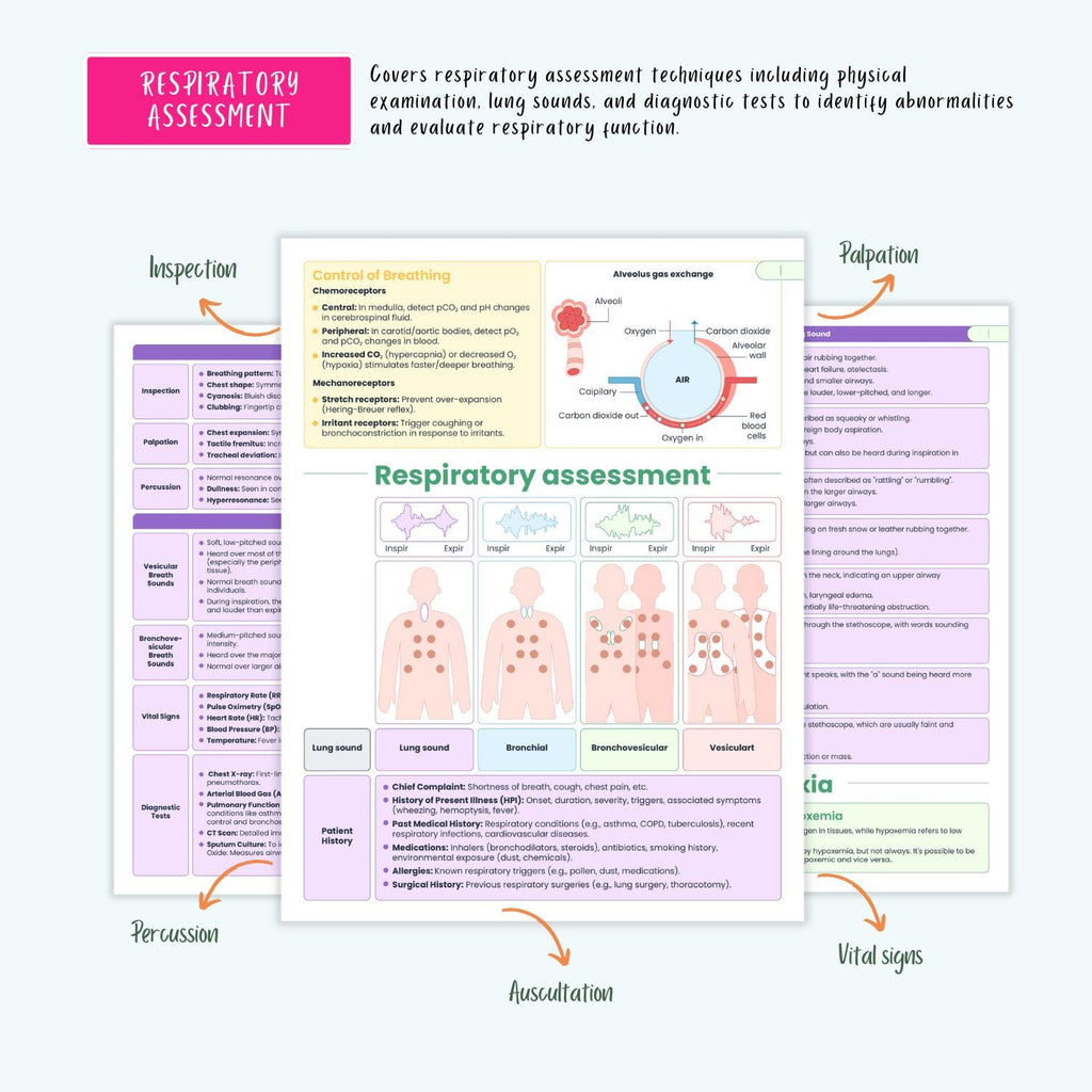 Respiratory Disorders Notes | 20+ Lung Conditions | COPD Asthma ARDS Pneumonia ABG Nursing