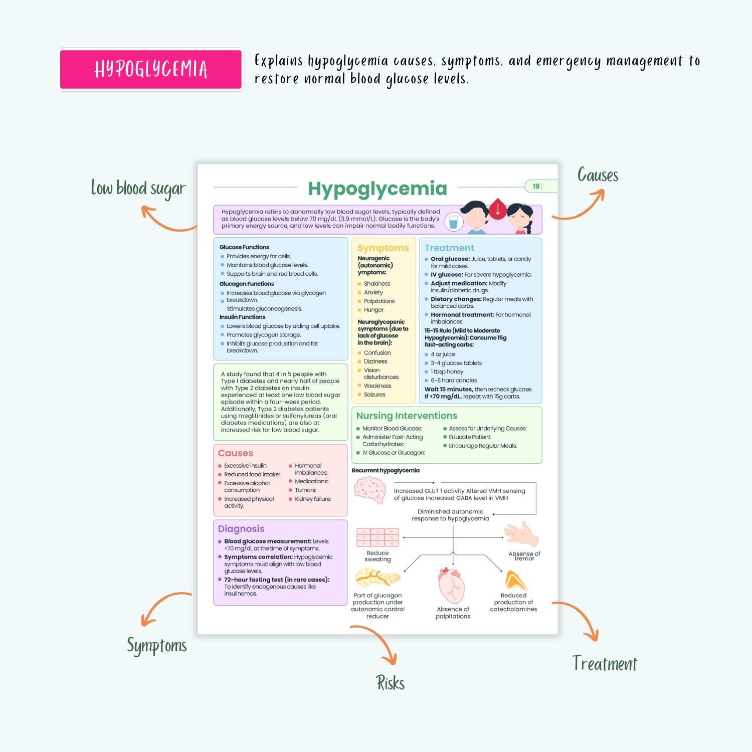 Endocrine Disorders Notes 10+ Hormonal Conditions Diabetes Thyroid Addison’s Cushing’s SIADH NCLEX Guide