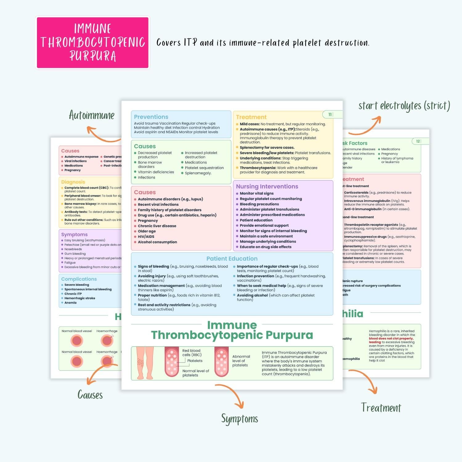 Hematology Disorders Notes 12+ Blood Conditions Anemia Hemophilia DVT DIC Clotting NCLEX Guide