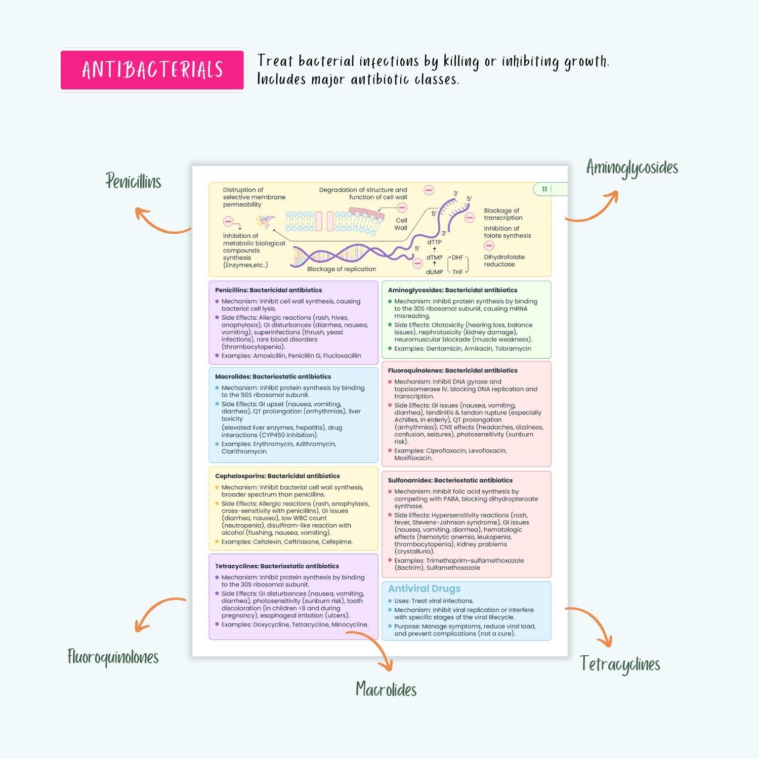 NCLEX Pharmacology Bundle | 80+ Drugs, Cardiac, Respiratory, Antibiotics, Antivirals, ICU, Mnemonics | Nursing School Notes