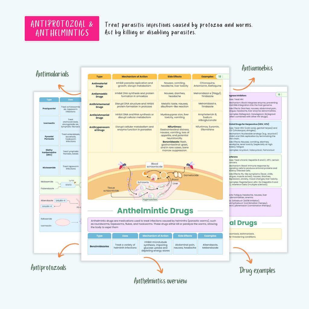 NCLEX Pharmacology Bundle | 80+ Drugs, Cardiac, Respiratory, Antibiotics, Antivirals, ICU, Mnemonics | Nursing School Notes