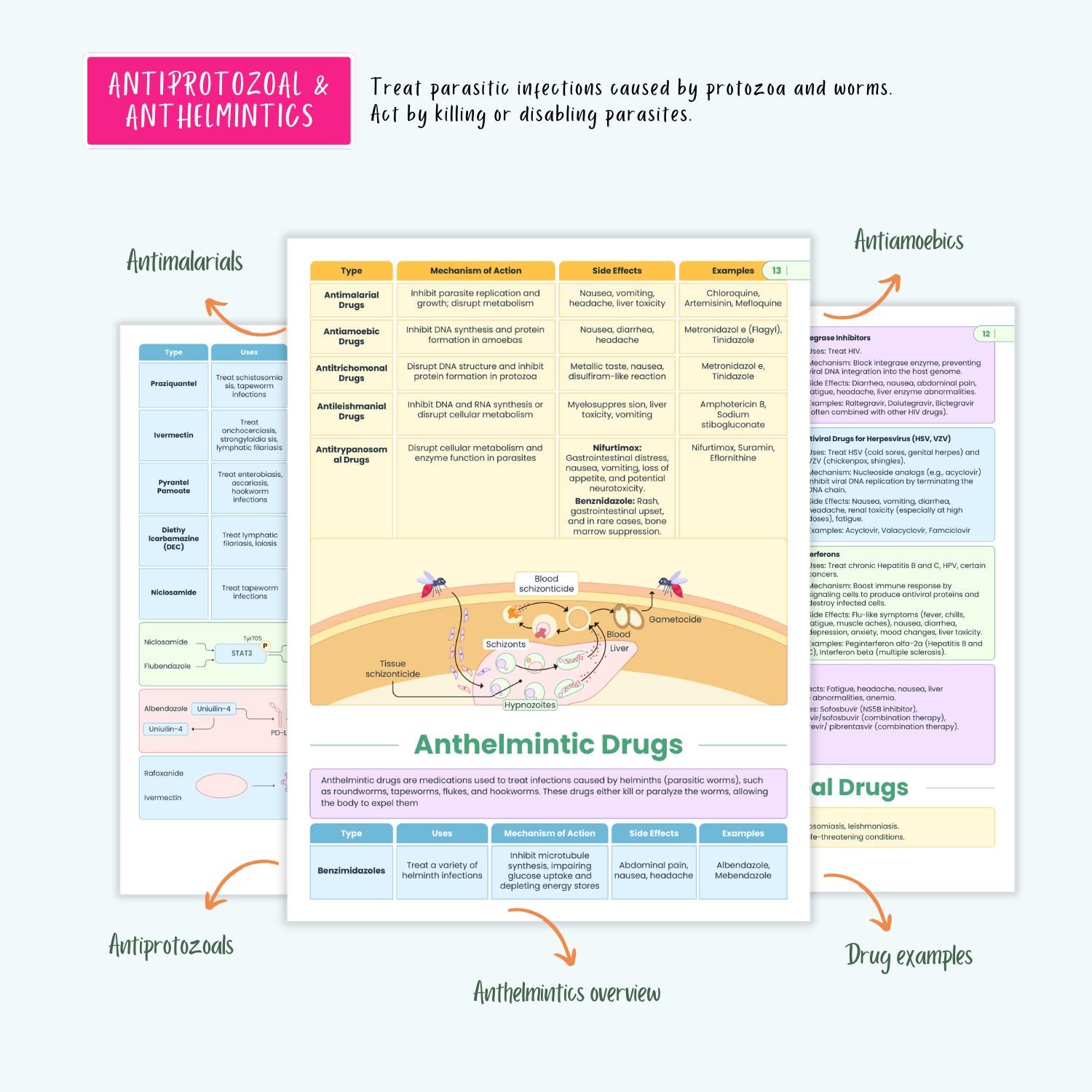 NCLEX Pharmacology Bundle | 80+ Drugs, Cardiac, Respiratory, Antibiotics, Antivirals, ICU, Mnemonics | Nursing School Notes