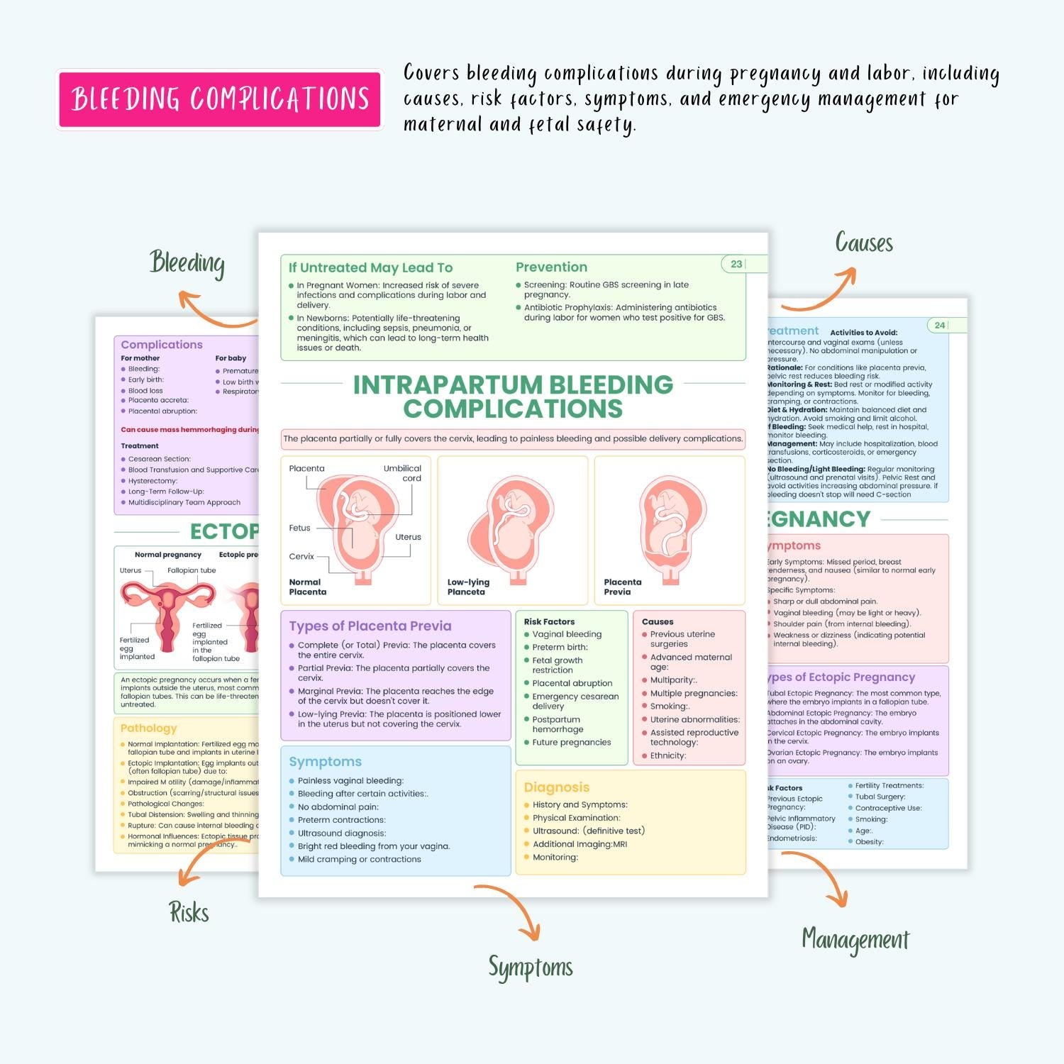 Pediatrics & Pregnancy Disorders Bundle | Maternal Health, Neonatal Care, Pediatric Nursing Notes, Coloring Book