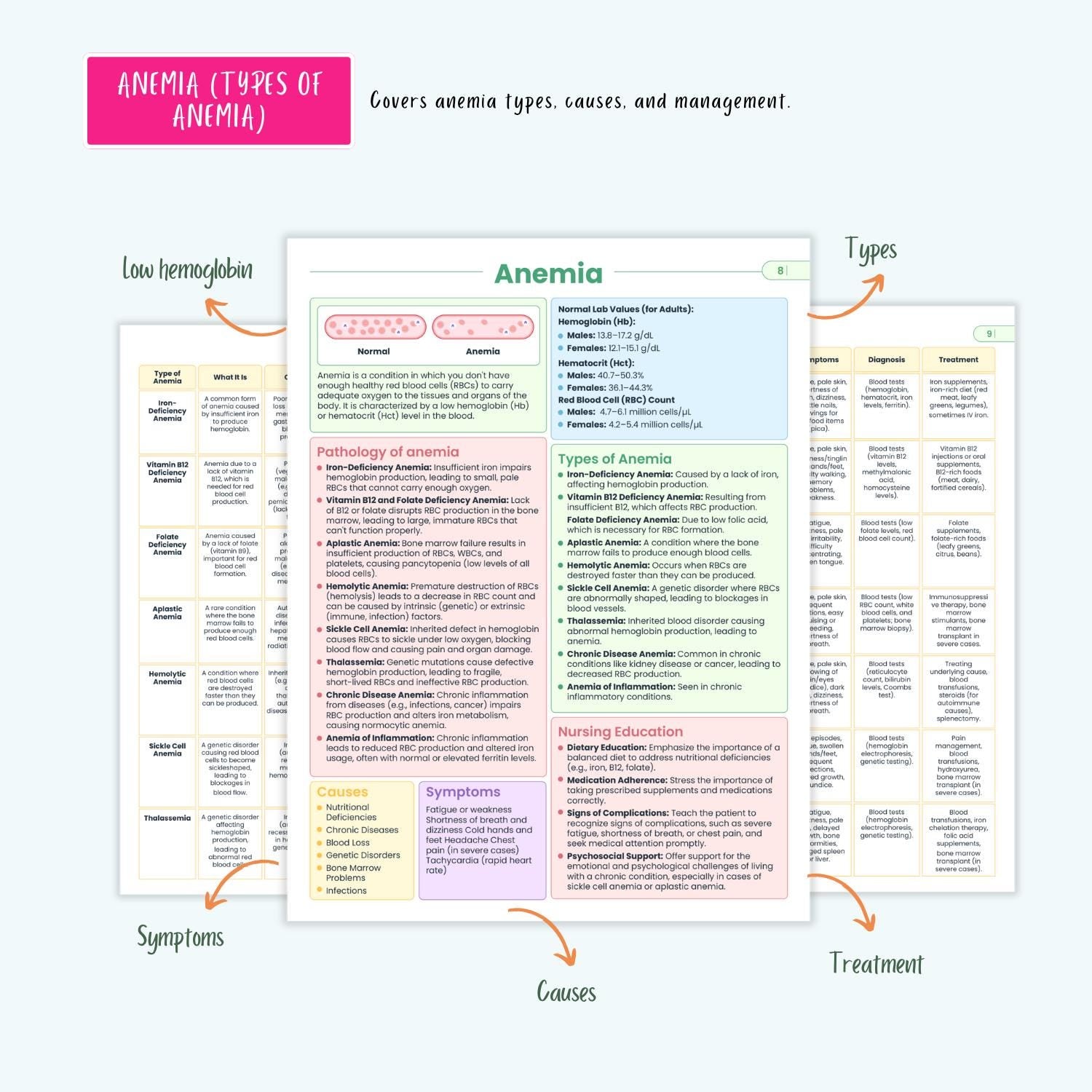 Hematology Disorders Notes 12+ Blood Conditions Anemia Hemophilia DVT DIC Clotting NCLEX Guide