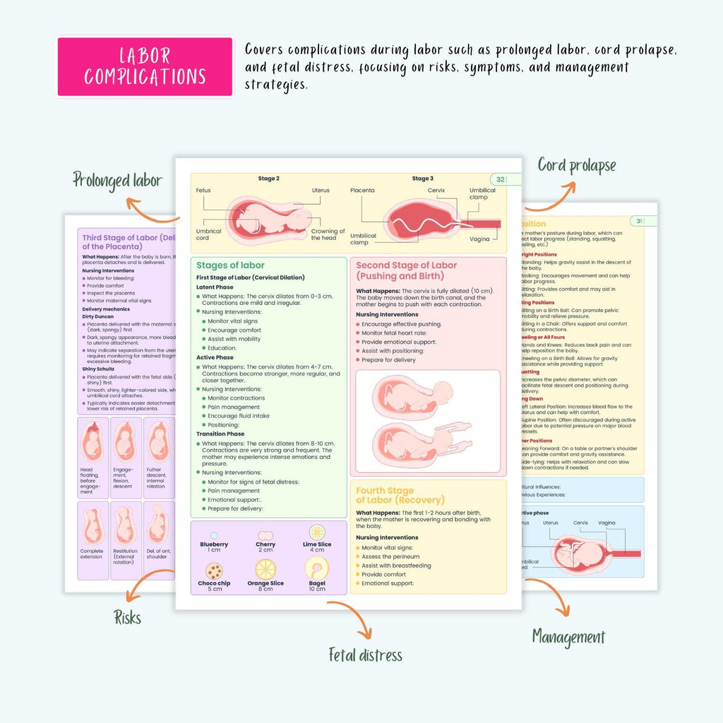 Pediatrics & Pregnancy Disorders Bundle | Maternal Health, Neonatal Care, Pediatric Nursing Notes, Coloring Book