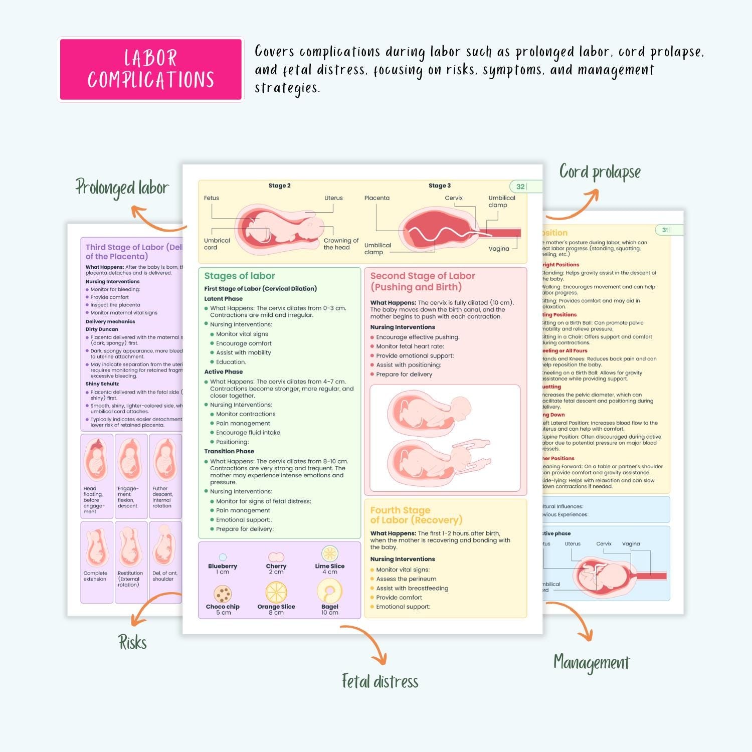 Pediatrics & Pregnancy Disorders Bundle | Maternal Health, Neonatal Care, Pediatric Nursing Notes, Coloring Book