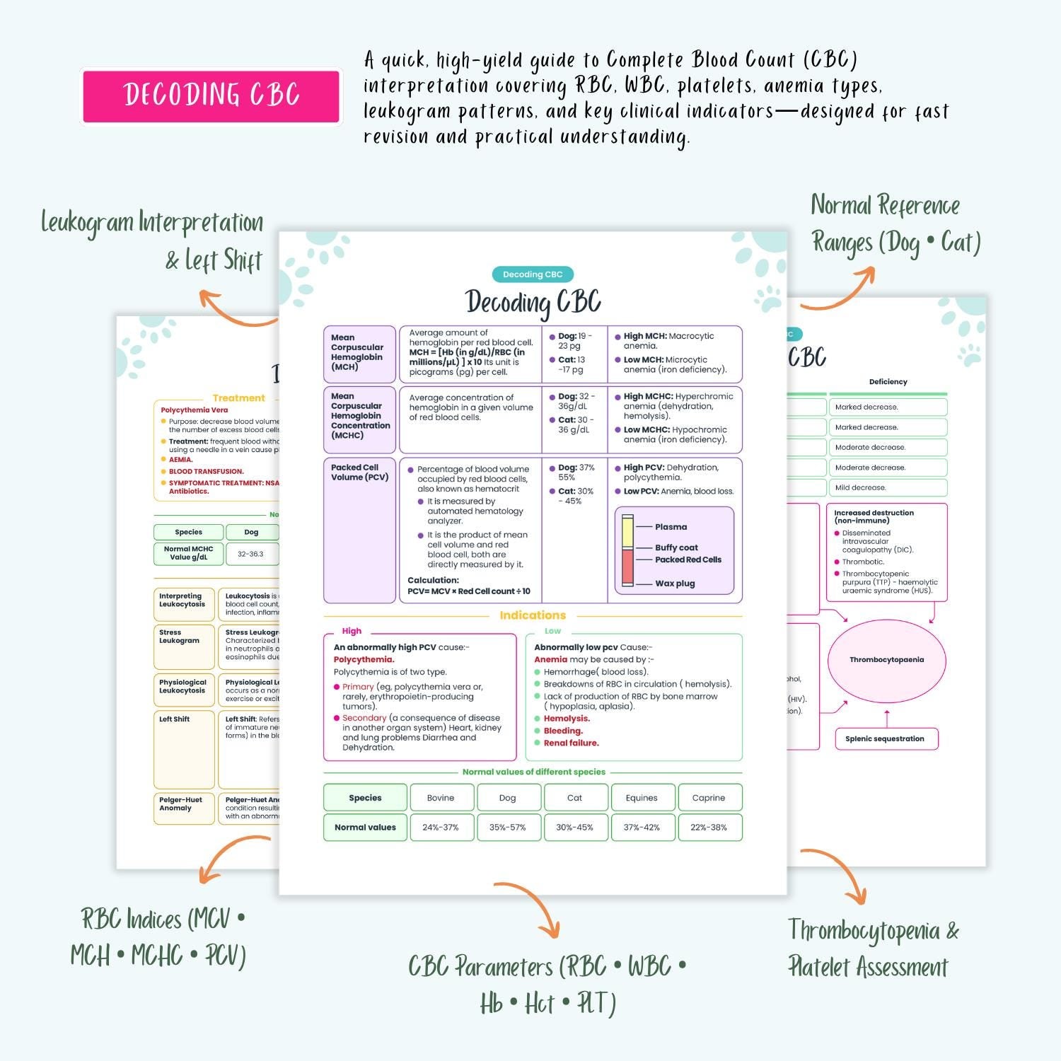 Veterinary Study Guide: Vet Student Notes, VTNE NAVLE Prep, Pharmacology, Labs, ECG, Emergency Care