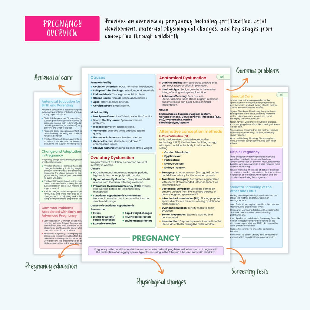 Pregnancy Disorders Complete Bundle | Nursing School | OB Maternity Notes, Flashcards, Cheat Sheets