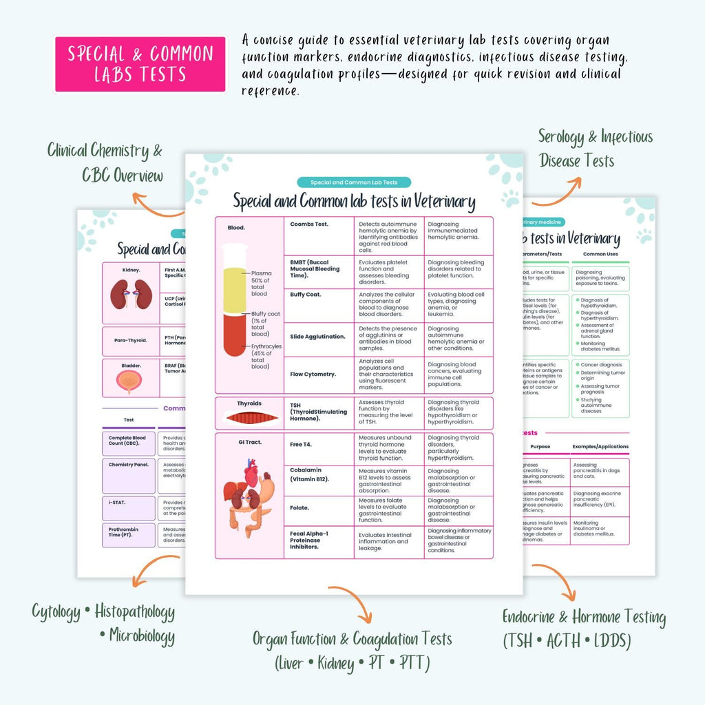 Veterinary Study Guide: Vet Student Notes, VTNE NAVLE Prep, Pharmacology, Labs, ECG, Emergency Care