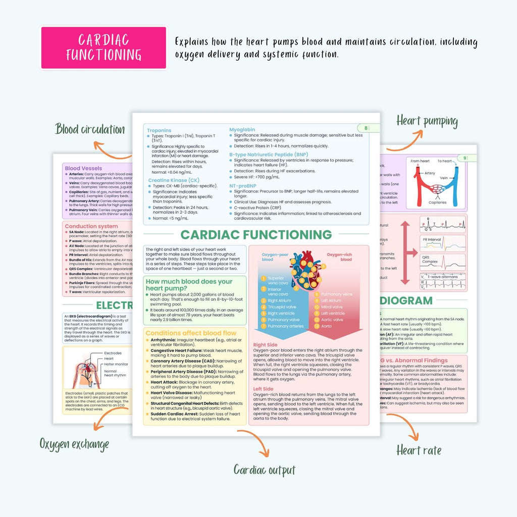 Cardiovascular Disorders Notes | 20+ Cardiac Conditions | ECG Heart Failure MI Angina Nursing