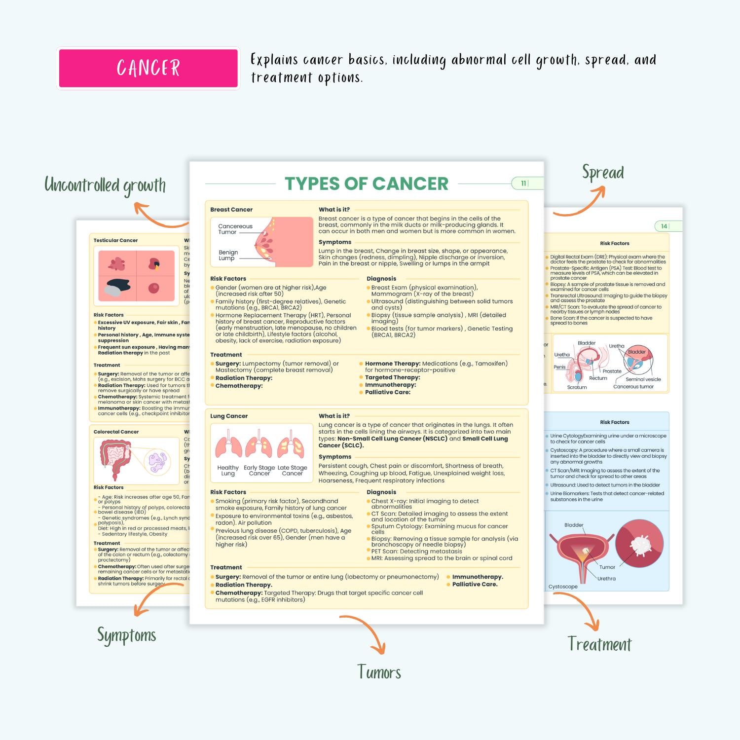 Immune Disorders Notes 15+ Conditions HIV Lupus Vasculitis Autoimmune Cancer NCLEX Study Guide