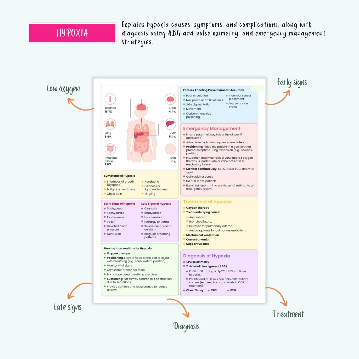 Respiratory Disorders Notes | 20+ Lung Conditions | COPD Asthma ARDS Pneumonia ABG Nursing