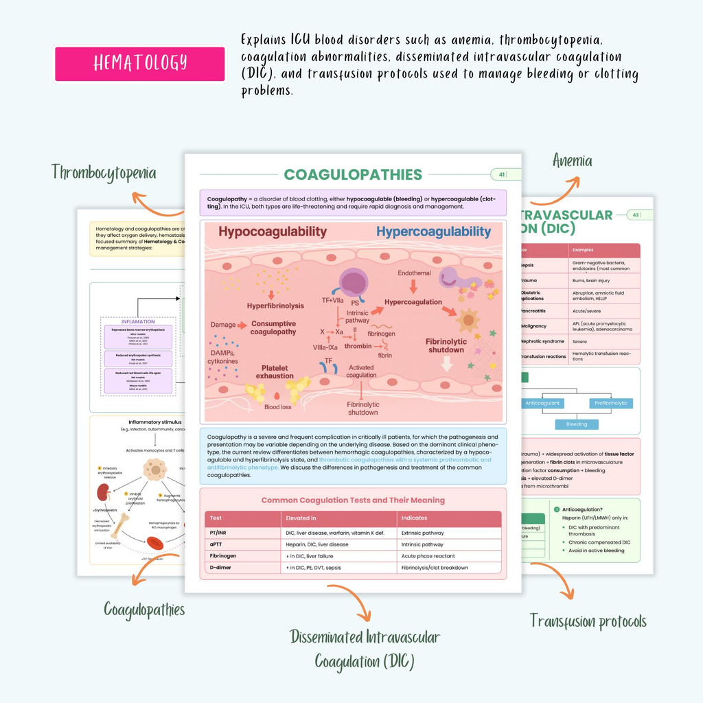ICU Nursing Study Guide | ECG, Stroke, ICU Meds & Labs | Critical Care Cheat Sheets (e-Book)