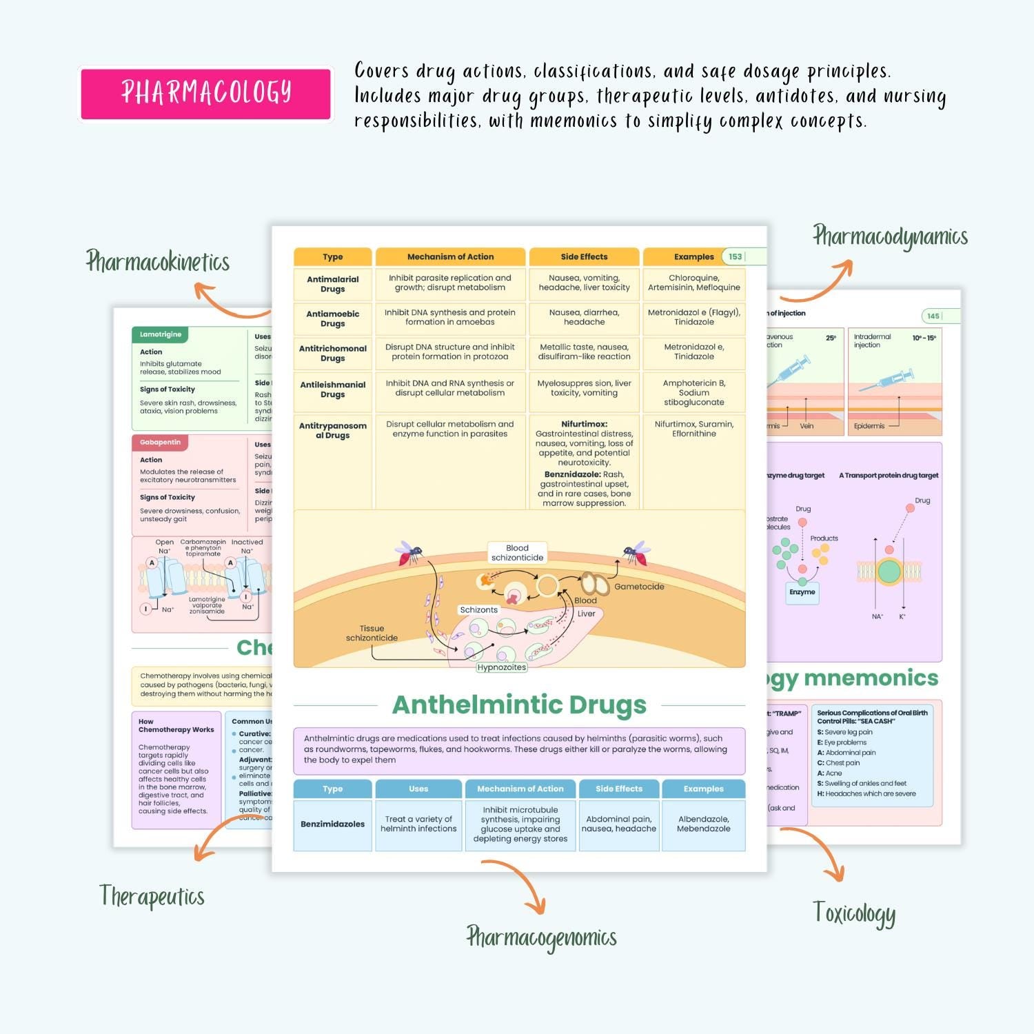 Ultimate Nursing School Notes | Complete Pharmacology, Human Anatomy, Med Surg, Pediatrics, Complete Disorders