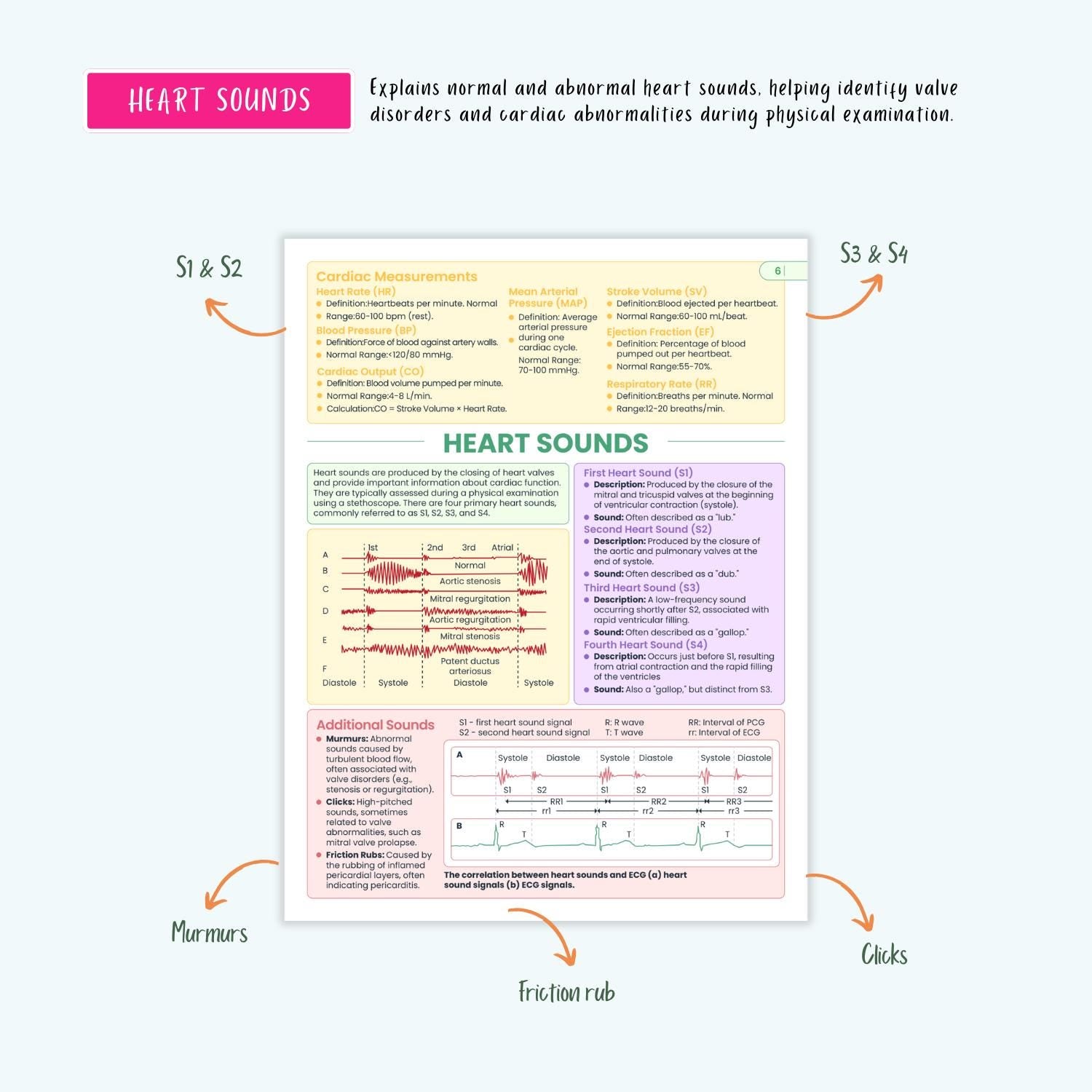 Cardiovascular Disorders Notes | 20+ Cardiac Conditions | ECG Heart Failure MI Angina Nursing