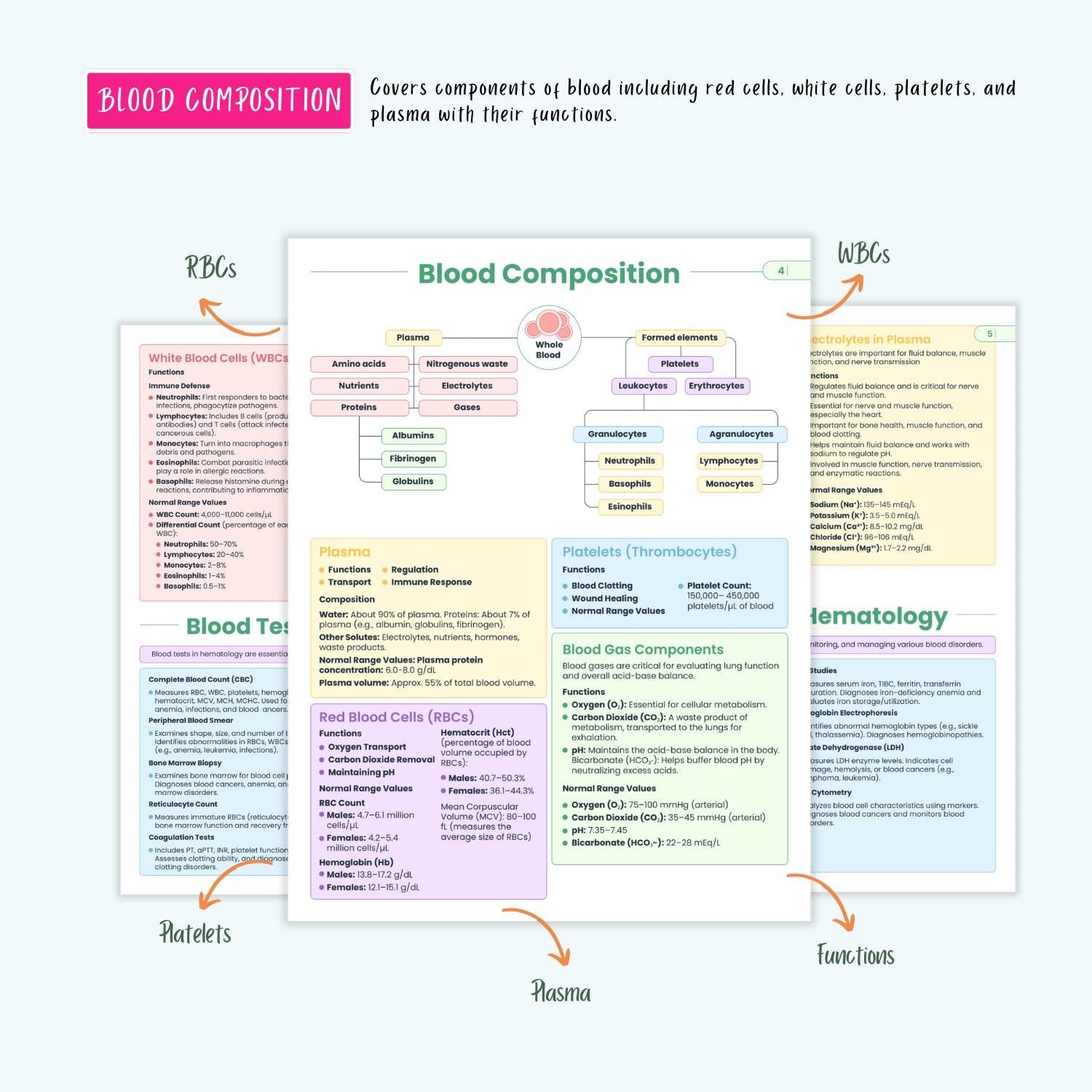 Hematology Disorders Notes 12+ Blood Conditions Anemia Hemophilia DVT DIC Clotting NCLEX Guide